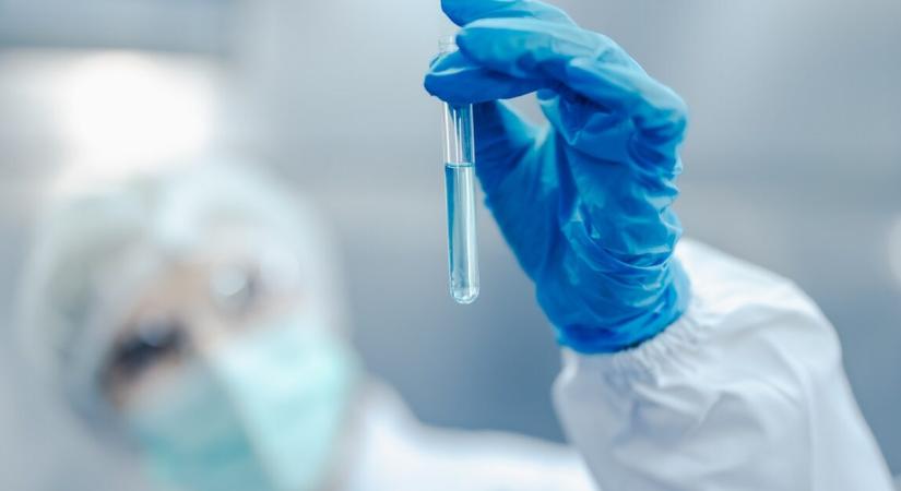 Rejtett bélbaktérium lehet a jó egészség kulcsa