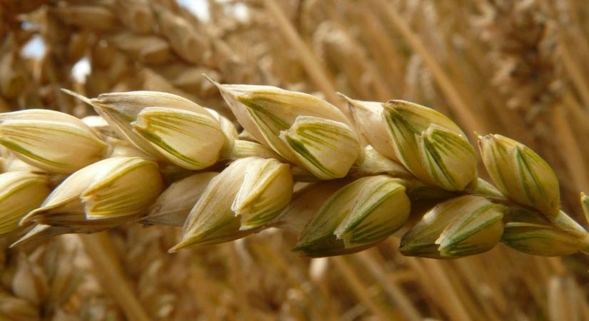 Végleg elúszhat a pénze annak, aki február 25-ig nem lép a Bászna-ügyben