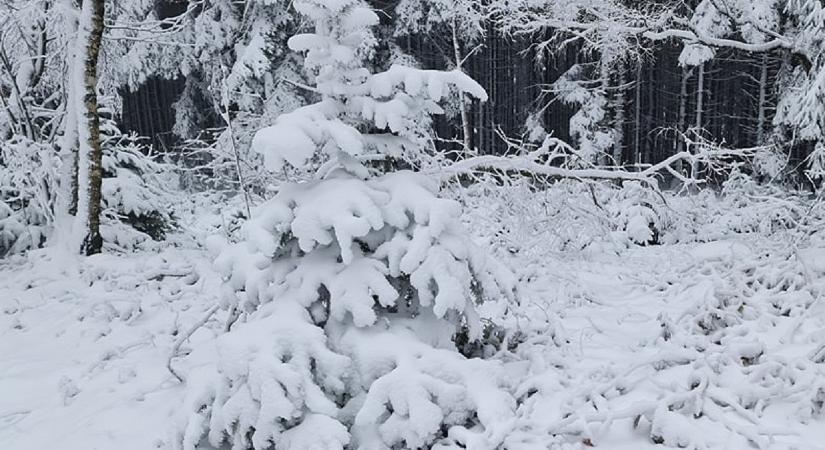 Vége a találgatásoknak, megérkezett az ítéletidő, sorra jönnek a figyelmeztetések