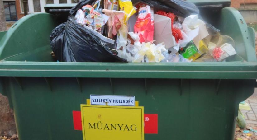 Tárva-nyitva a kukák, özönlenek a varjak – ki a felelős a pécsi káoszért?