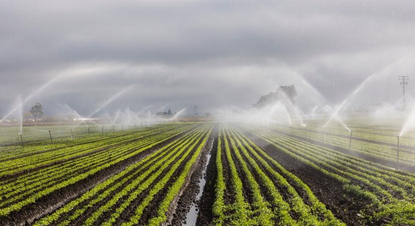Természet ihlette vízgazdálkodás: Miért a felszín alatt kell tárolnunk a jövő öntözővizét?