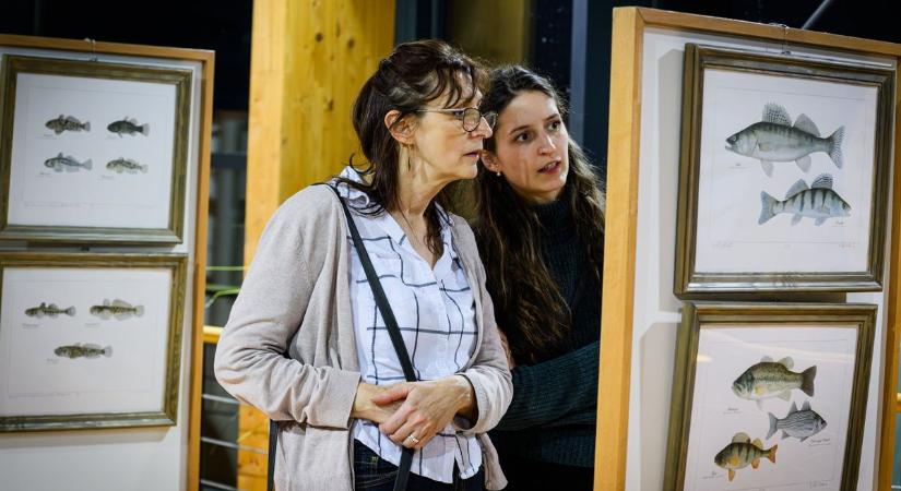 Különleges halillusztrációk a Soproni Egyetem tavaszi tárlatán