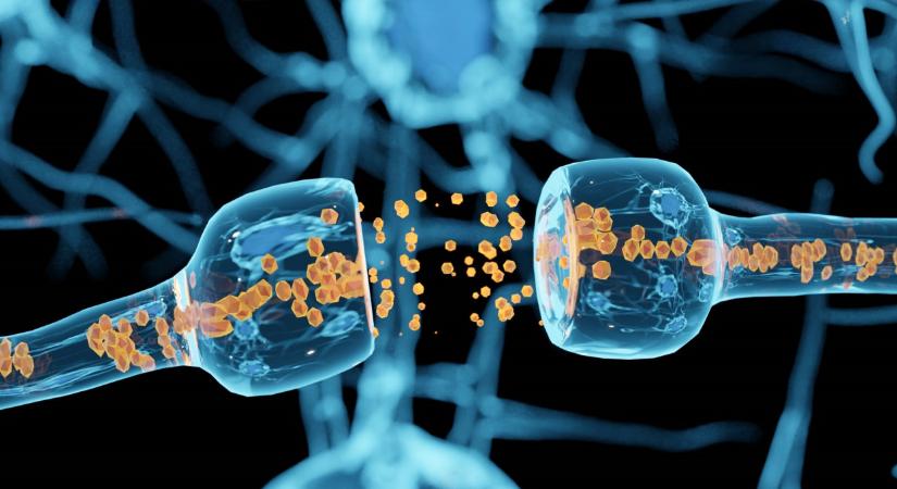 Milyen betegség az ALS? Az amiotrófiás laterálszklerózis tünetei, okai és kezelése