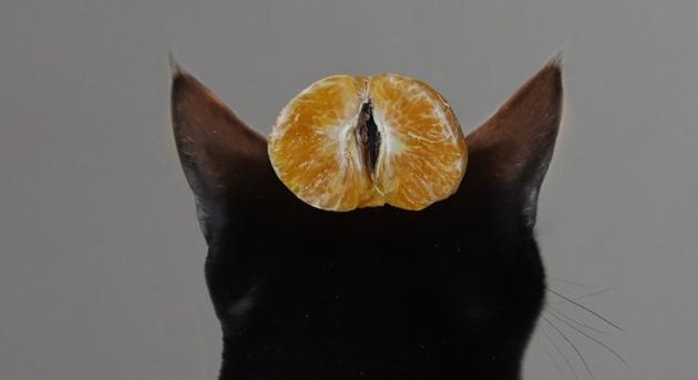 Fura weboldallal trollkodná az USA kormánya az európai szabályozást