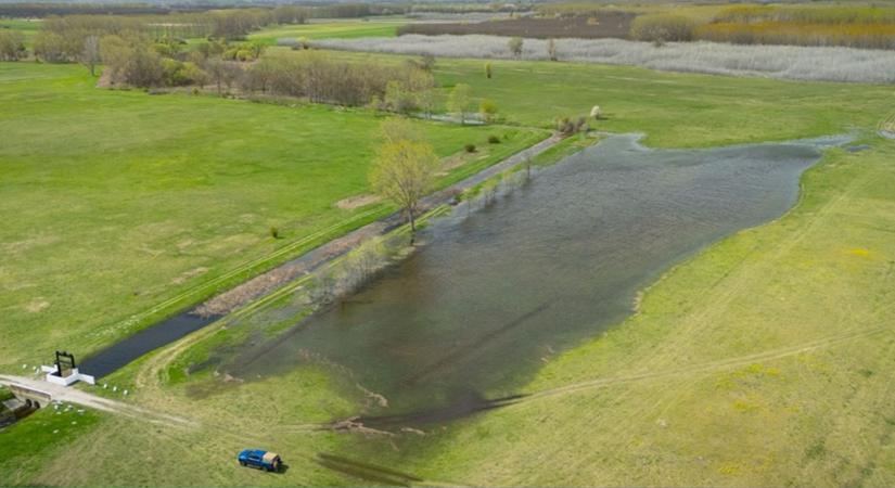 1 éves a Vizet a tájba! program: ezt kell tudnod, ha te is ingyen vizet akarsz