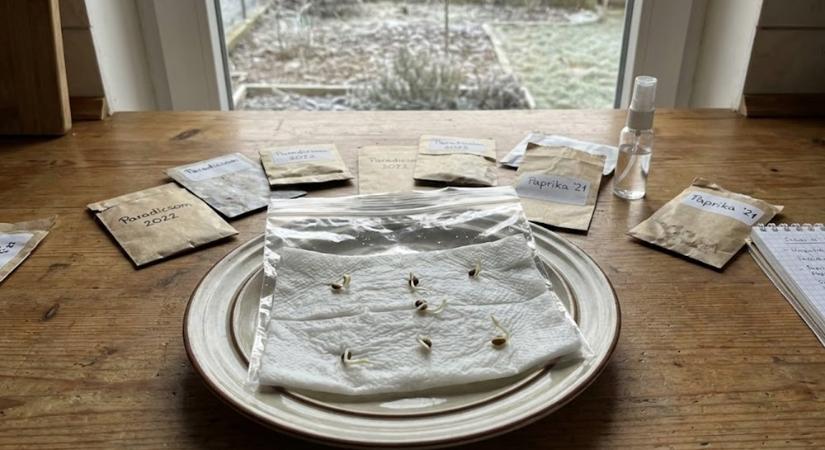 Vetőmag-ellenőrzés február végén – életképesek még a tavalyi remények?