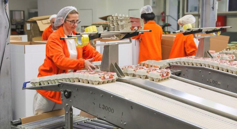 Döbbenetes! Ha minimálbéren dolgoztál, csak ennyi nyugdíjra számíthatsz!