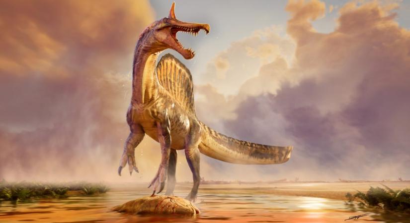 Ismeretlen ragadozó maradványaira bukkantak a Szahara mélyén