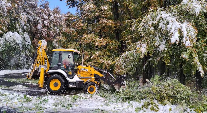 Elakadt autók, kidőlt fák, leszakadt ágak: Így pusztít a hóvihar a nyugati vármegyékben!