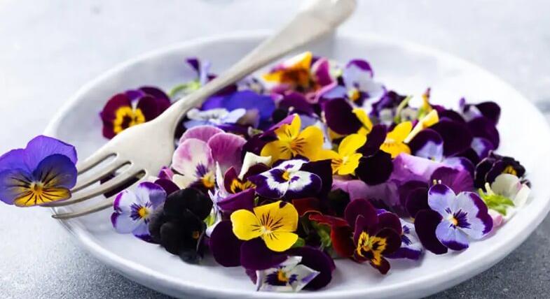 Gasztro-utazás: egy város az ízeken keresztül