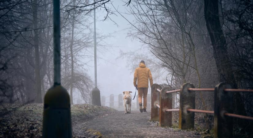 Fagyos hajnal, változékony nappal