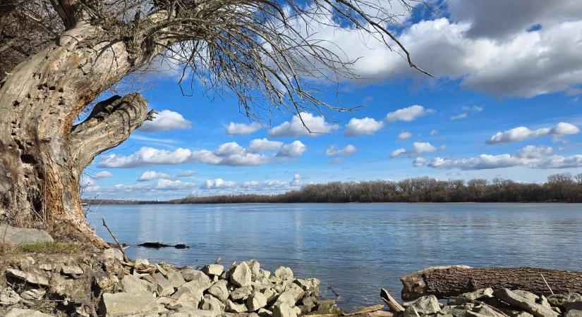 Érdi Tőzike tanösvény – séta a Beliczay-sziget ártéri világában