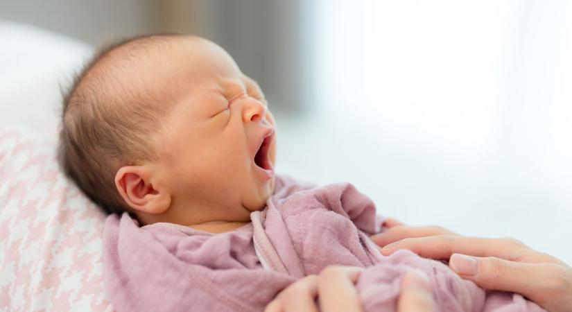 Ők vármegyénk legifjabb lakói, kilenc kisbaba látott napvilágot csütörtökön
