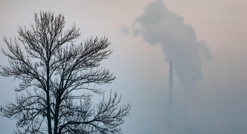 Kemény lépést tett Közép-Európa egyik legnagyobb városa: több ezer ember életét hosszabbították meg ezzel