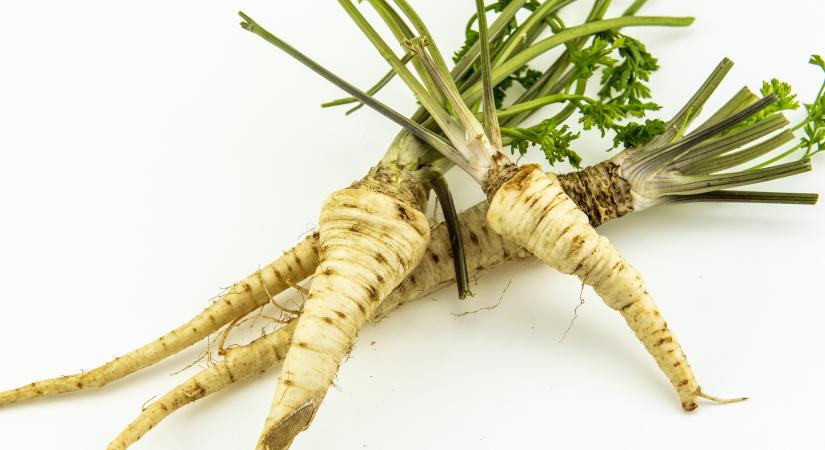 Rendkívül olcsó a gyökérpetrezselyem Lengyelországban