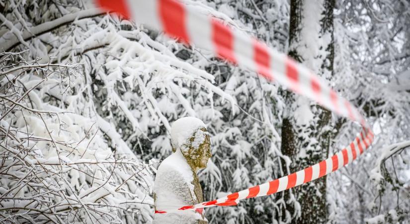 A rendkívüli időjárás miatt lezárva a Soproni Egyetem Botanikus kertje