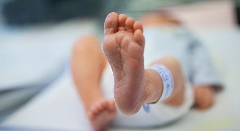 Kórházban tartott kisbabák: intézményesített gyerekrablás zajlik a Babamentők szerint