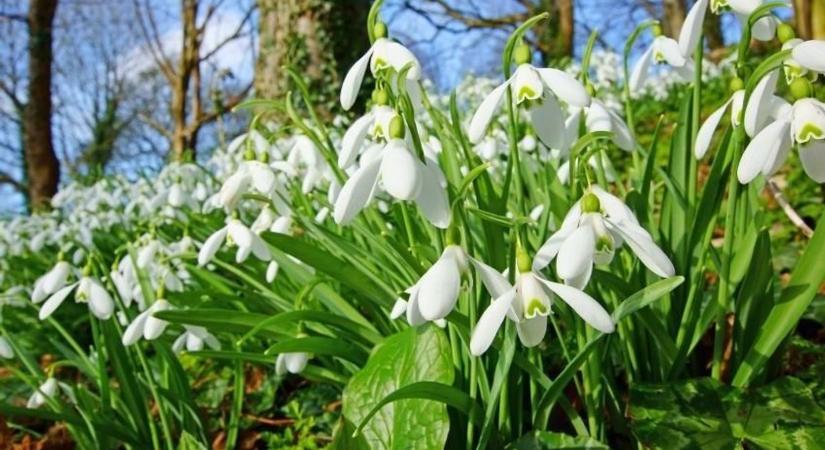 Drámai fordulat jön – a fagy után berobban a 10 fok februárban!