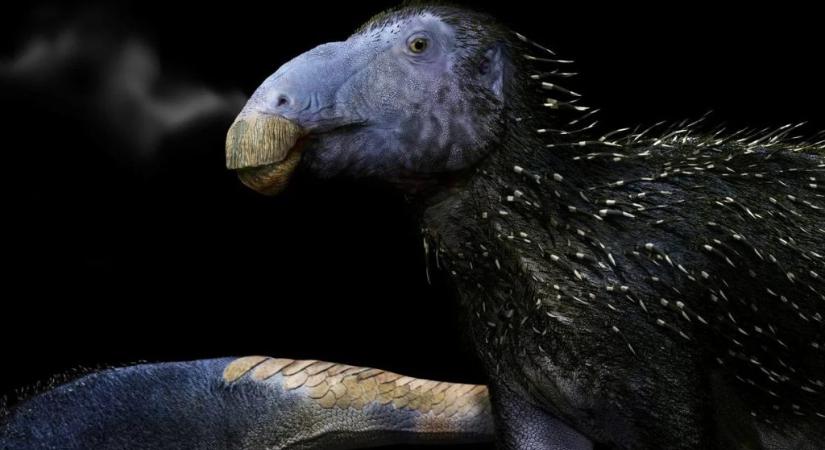 Páratlan őslény maradványait fedezték fel Kínában