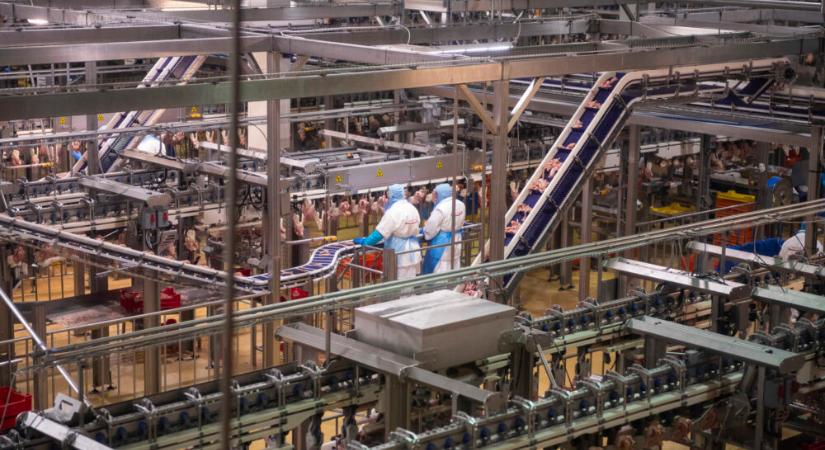 Hatszáz új munkahelyet hoz létre a Master Good Kft. újabb óriásberuházása Kisvárdán