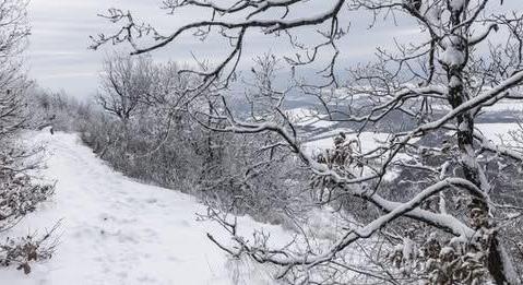 A nyugati határszélen a lehulló hó mennyisége helyenként megközelítheti vagy kissé túl is lépheti a 30 centimétert
