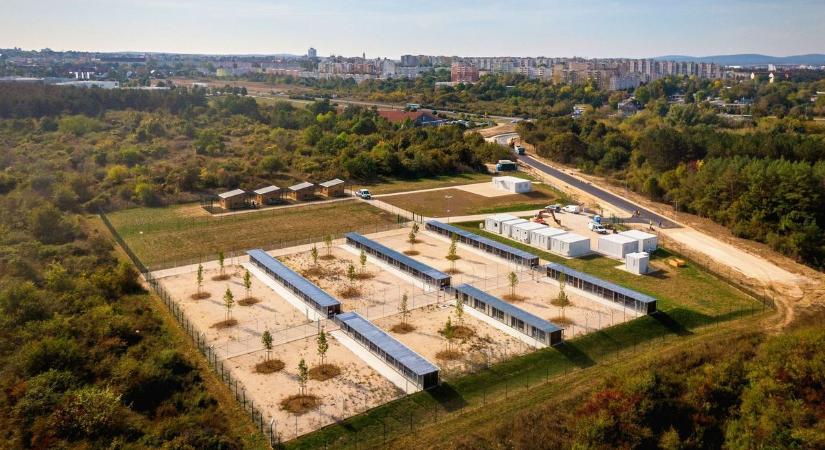 A Pumi Veszprémi Állatmenhely országos mintaprojekt