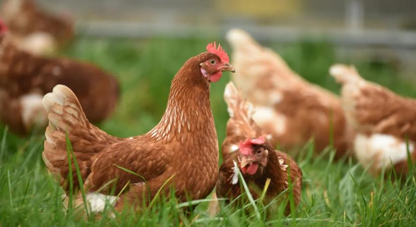 Óriásberuházást jelentett be Szijjártó Péter, hatszáz új munkahely jön létre