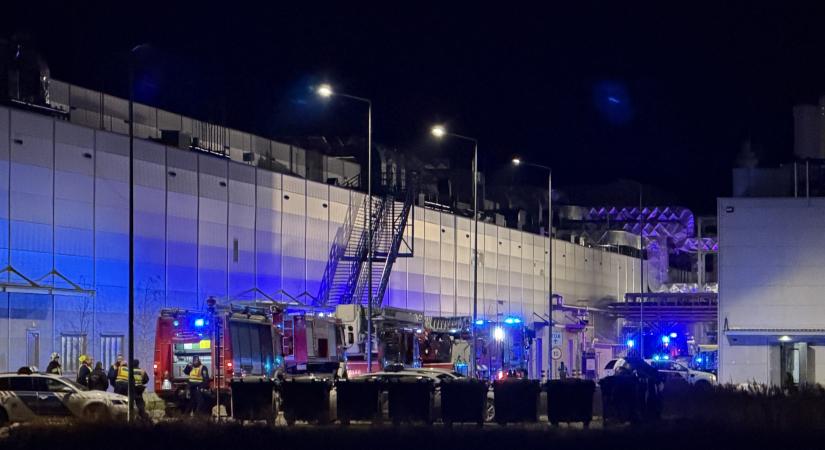 A Zöld Őrszem akcióba lépett a Semcorp-eset után