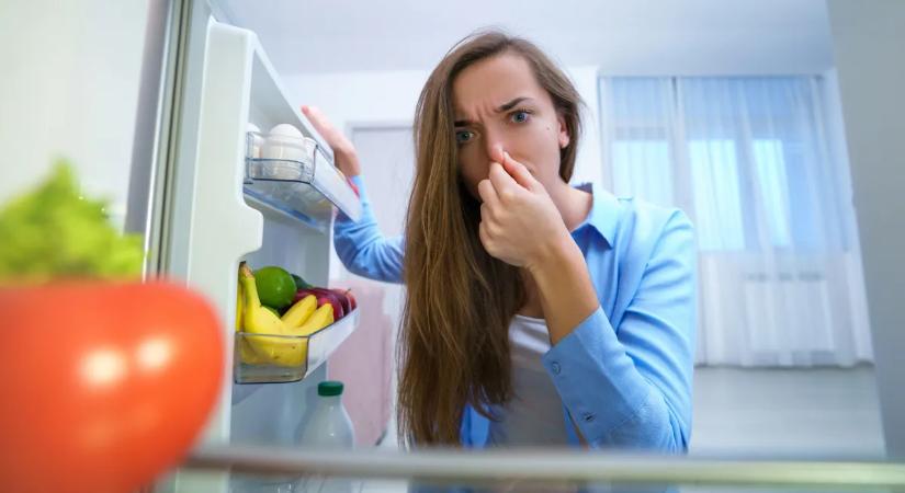 Büdös a hűtő? Így szagtalaníthatod profi módon