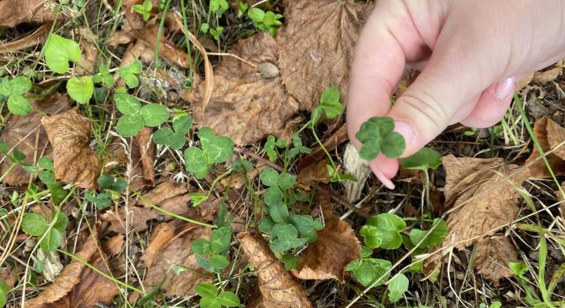 Üzent az univerzum: Ez a 3 csillagjegy egy szerencsésebb korszakba lép át