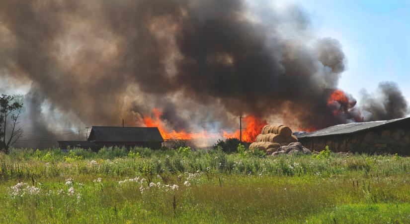 Óriási tűz tombolt Magyarországon: két állat is elpusztult