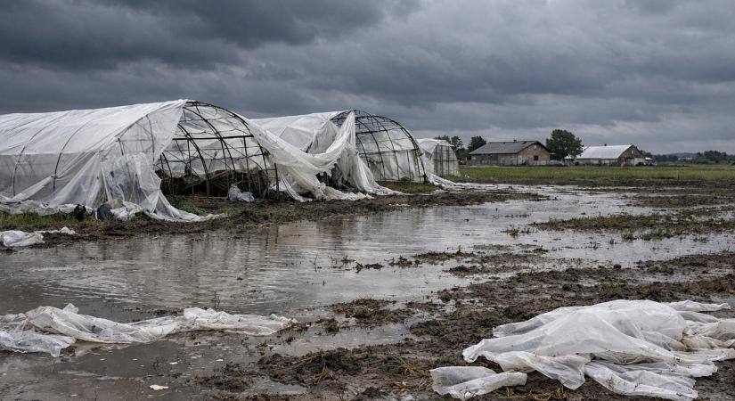 208 km/h-s szél és elöntött tározók: ezért borulhat a tavaszi zöldségpiac