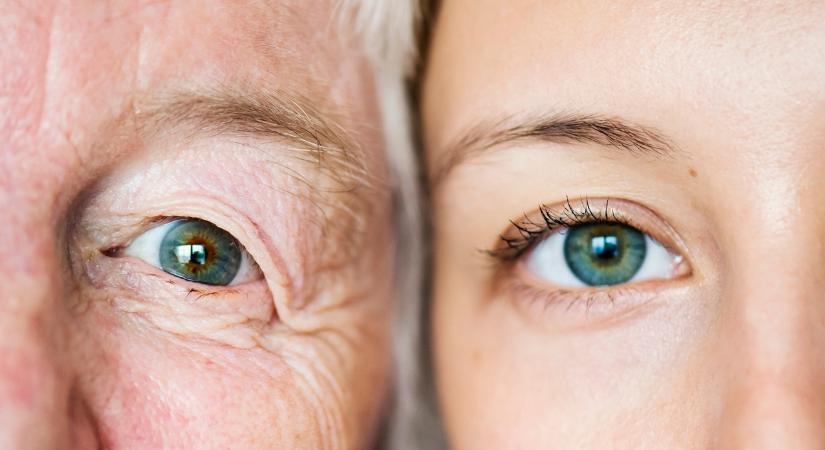 Generációs különbségek