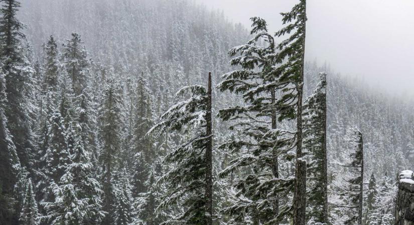 Erős széllökések Hargita megyében: több mint ezer háztartás maradt áram nélkül