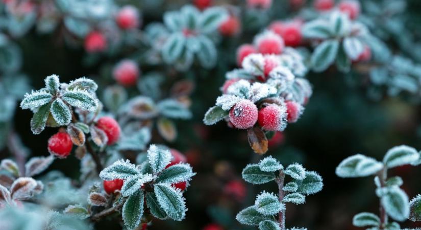 Borongós fordulat és hajnali fagy a láthatáron