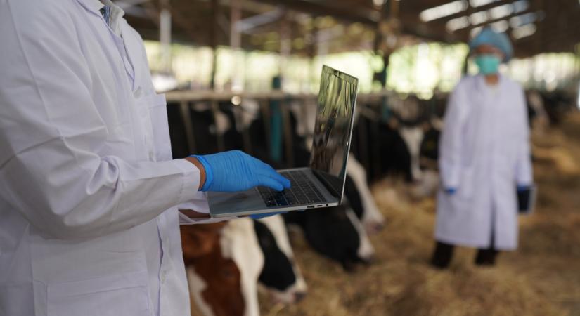 Sokkoló kutatás látott napvilágot: több ezer baktériumot kell vizsgálni