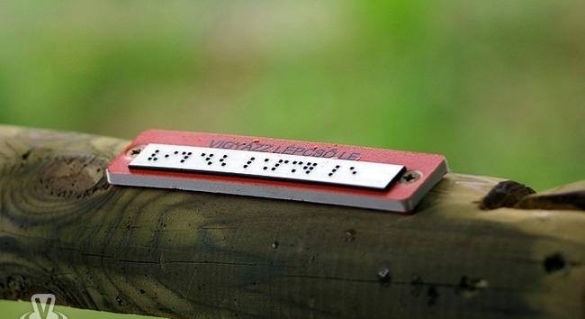 Híres látássérült emberek: Louis Braille