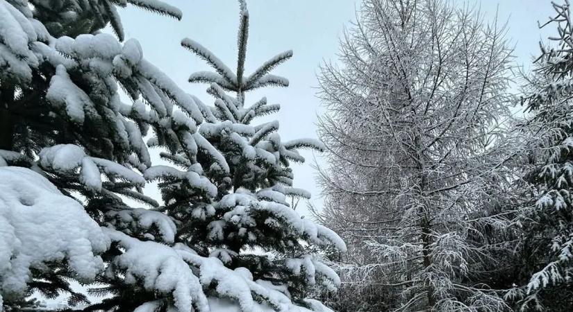 Mesés táj! 10 centis hó hullott a Bakonyban - Fotók!