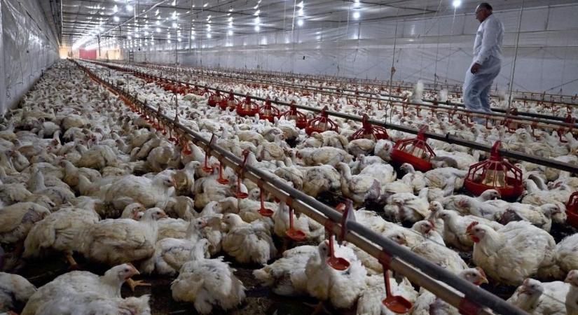 Gigantikus beruházást hajt végre az egyik leggazdagabb magyar: 72 milliárd forintból építi tovább az üzemét – ebbe már a kormány is beszáll