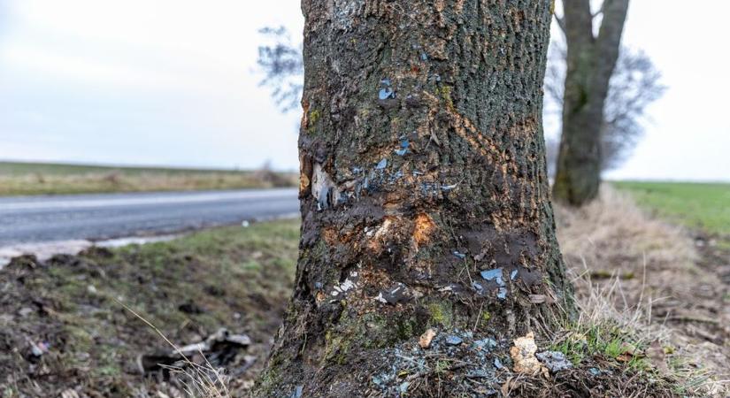 A becsapódás nyomai örökre a fában maradnak – a két áldozat viszont már soha nem térhet haza