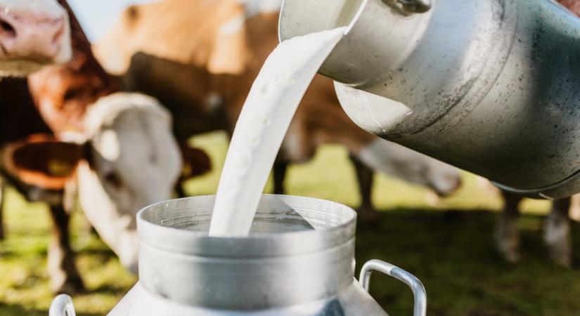 Nagy változás jön: lépett a kormány a tejpiaci válság miatt