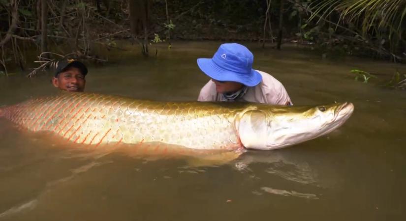 Kiderült, mi volt Bosánszky Péter eddigi legnagyobb fogása Lakatos Istvánon kívül!