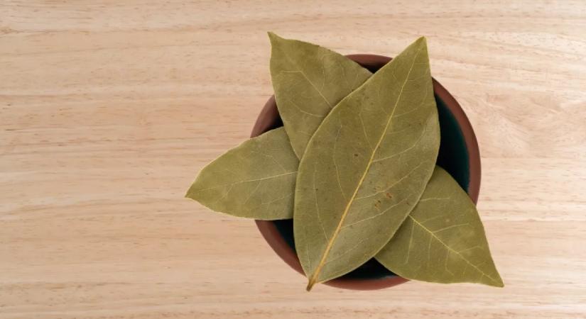 Hihetetlen, mire jó: ezért tegyél egy babérlevelet a pénztárcádba