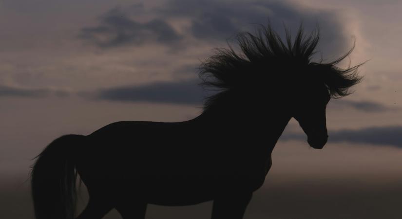 Kínai Újév: ennek a 4 jegynek lesz szerencsés éve