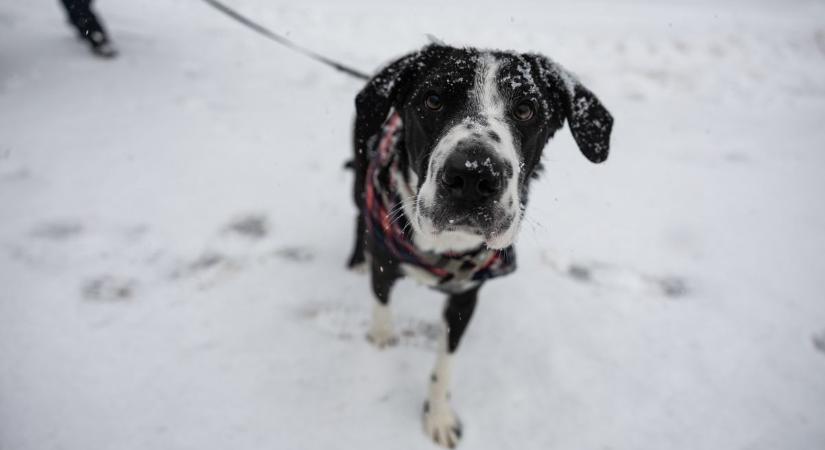 Kemény mínuszok után változékony nap – mutatjuk a szombati időjárást