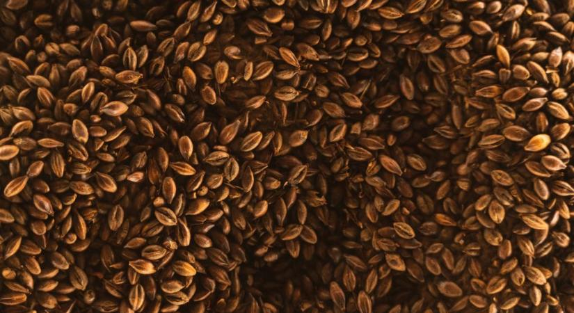 Nem hinnénk, de ezt teszi a lenmag a szervezetünkkel