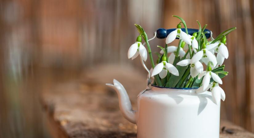 Ma, február 21.: Eleonóra ünnepel – ezt jelenti a névnapos neve