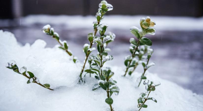 Szombaton sem a napsütésé lesz a főszerep Győr-Moson-Sopronban