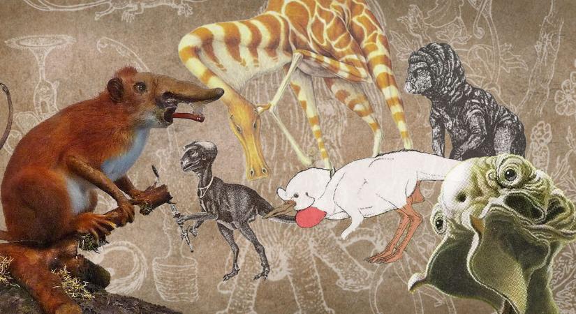 Spekulatív evolúció: Állatok, amik nincsenek, de lehettek volna