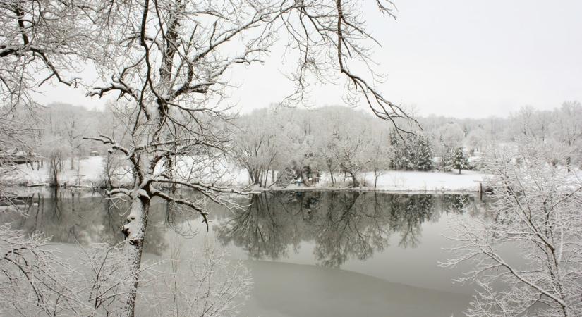 Furcsa lényre bukkantak a Tiszában, csak szakértők tudták megmondani, mi látható a képen